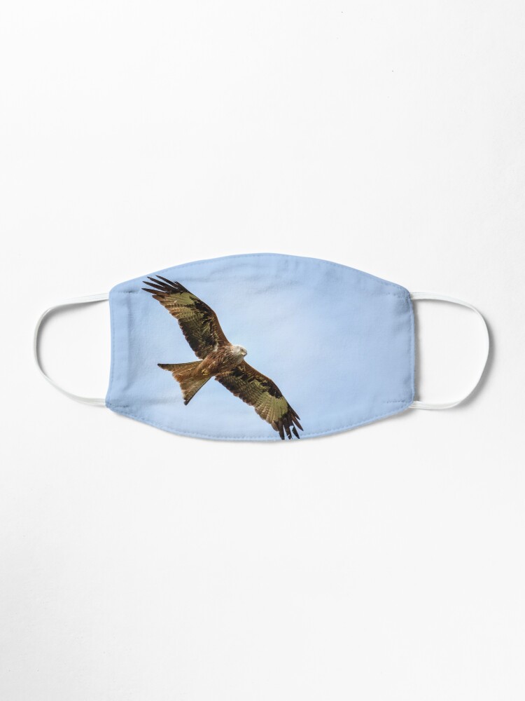Alternate view of Redkite - 15/04/19 Mask