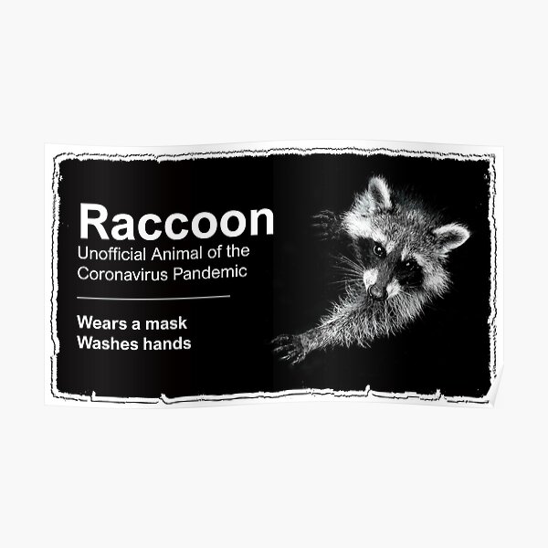 The Raccoon Poster