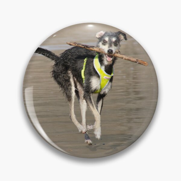 Item preview, Happy dog on the beach. designed and sold by sandyprints.