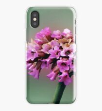 Decay iPhone Case/Skin