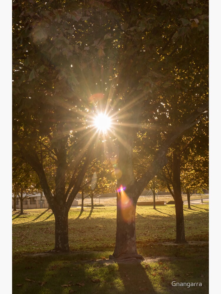 flare by Gnangarra