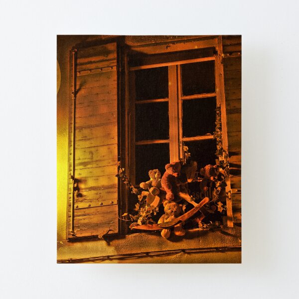 Canvas Mounted Print