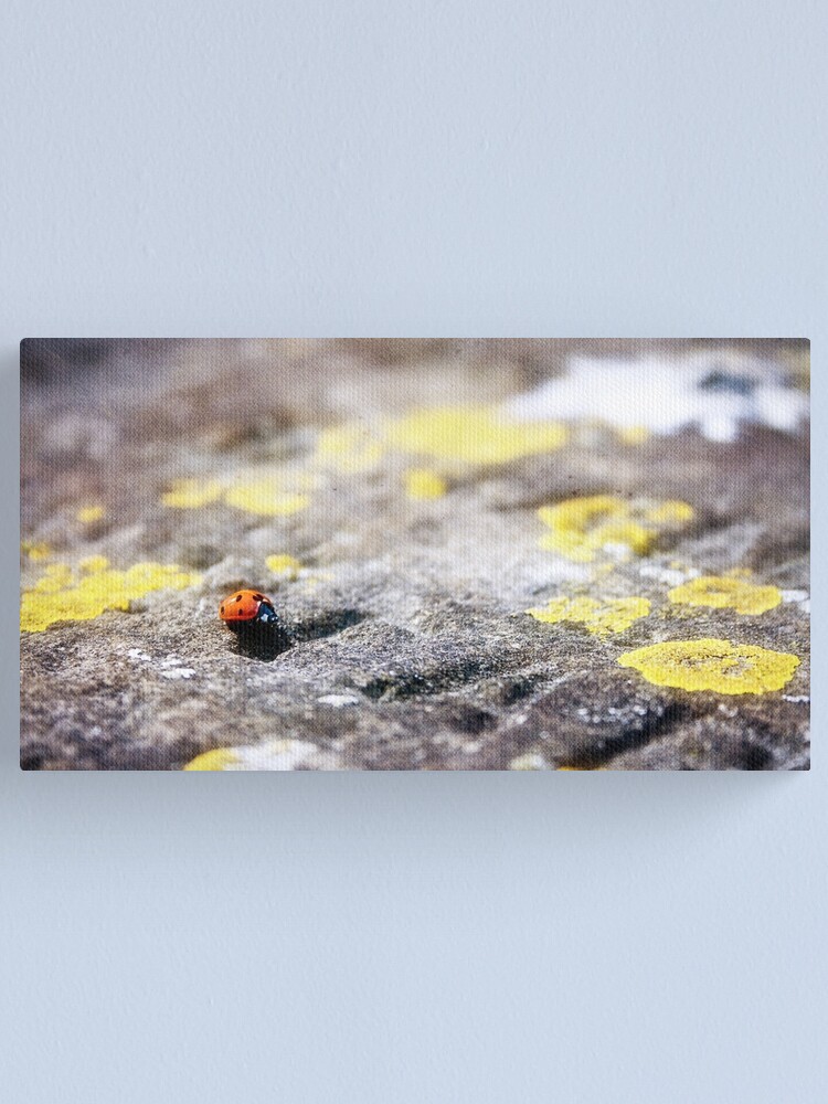 Alternate view of Lonelybird - 30/03/14 Canvas Print