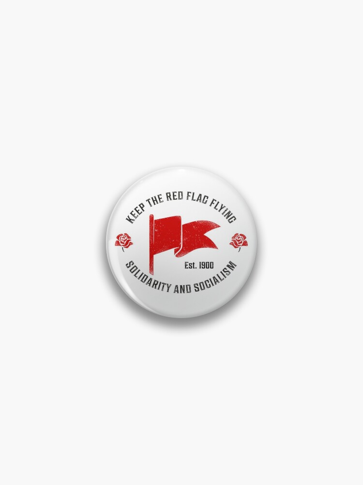 pin of solidarity