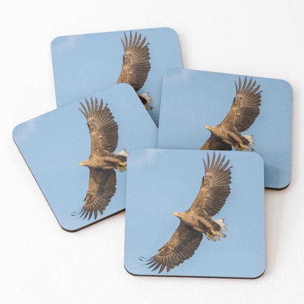 Item preview, White-Tailed Eagle from below designed and sold by Dominika Aniola.