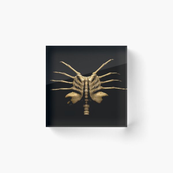 Face Hugger face Mask Acrylic Block