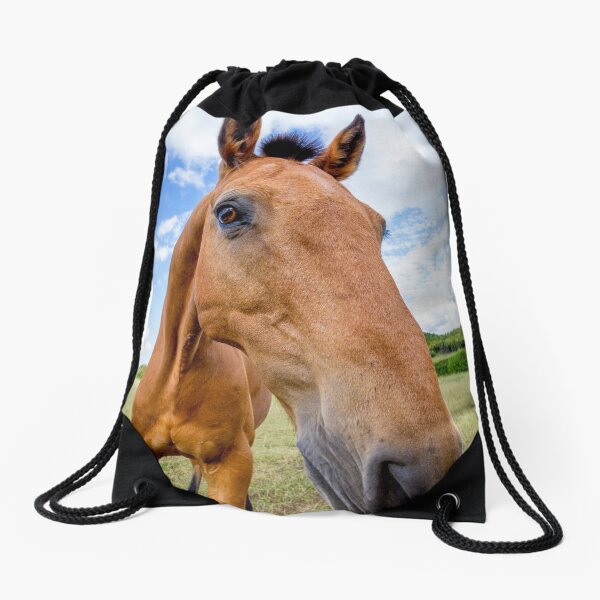 Horse of a Dun Colour Drawstring Bag