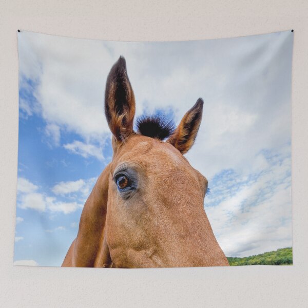 Item preview, Horse of a Dun Colour designed and sold by FOLK ART FUSION by heidiannemorris.