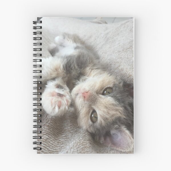 Item preview, Erna cat child designed and sold by Einohrkater.