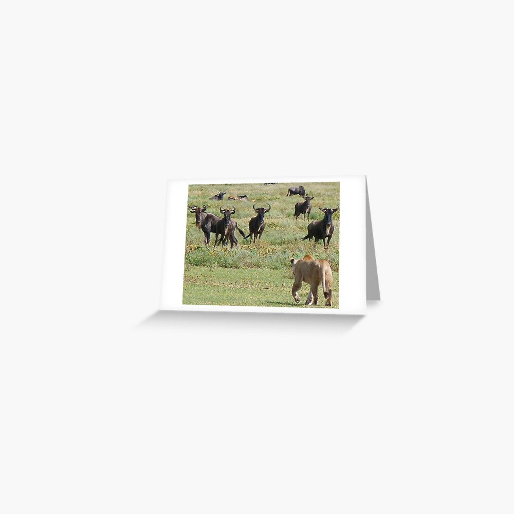 Wildebeast for lunch Greeting Card