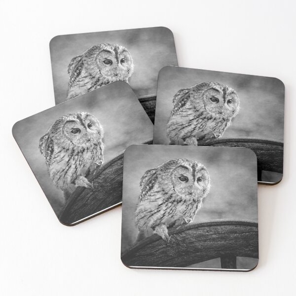 Item preview, tawny owl designed and sold by Dave Tucker.