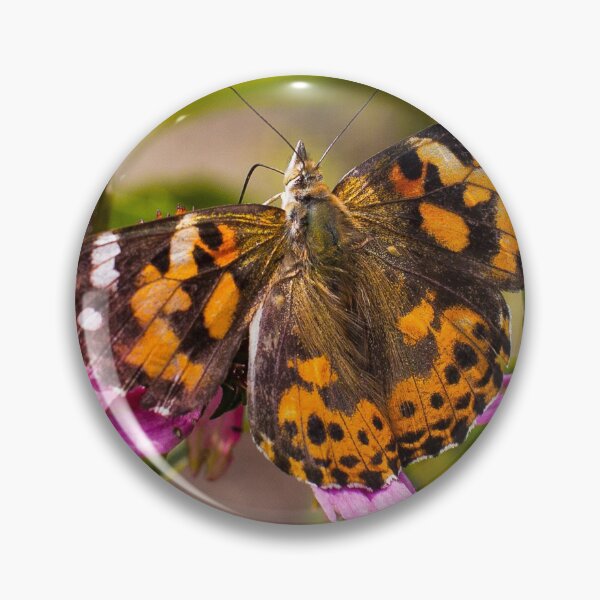 Item preview, Painted Lady - Butterfly designed and sold by Yannik Hay.