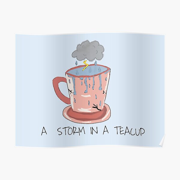 storm in a teacup sentence