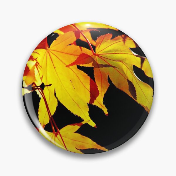 Artikelvorschau, Goldener Acer entworfen und verkauft von chuckirina.