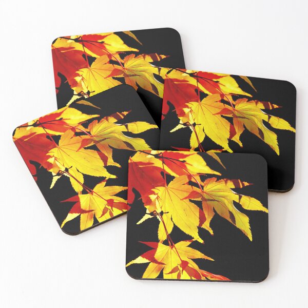 Item preview, Golden Acer designed and sold by chuckirina.