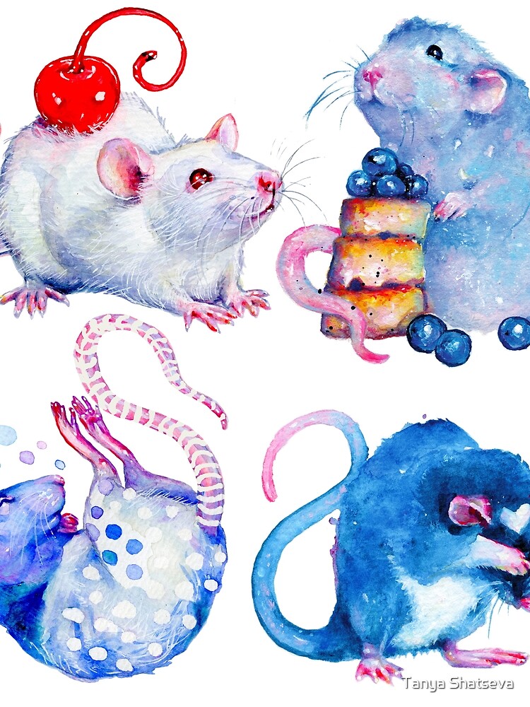 Sweet Rats by tanyashatseva