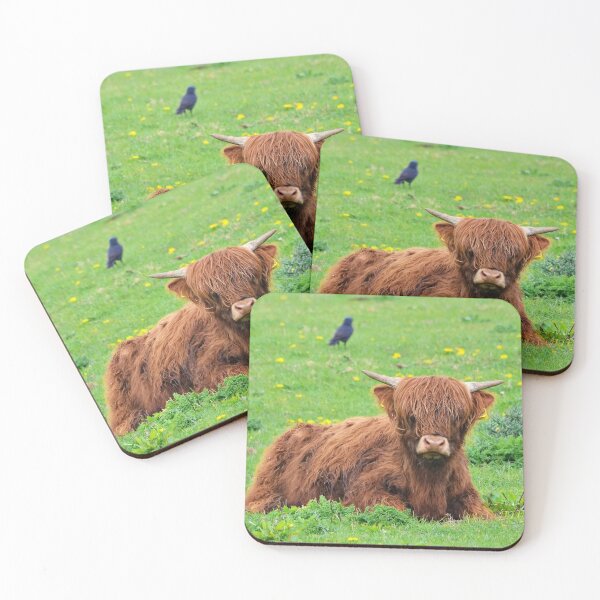 Artikelvorschau, Highland Coo entworfen und verkauft von dbrDurham.