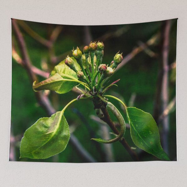 Item preview, Maybe we'll get pears this year? designed and sold by Bryan Spellman.