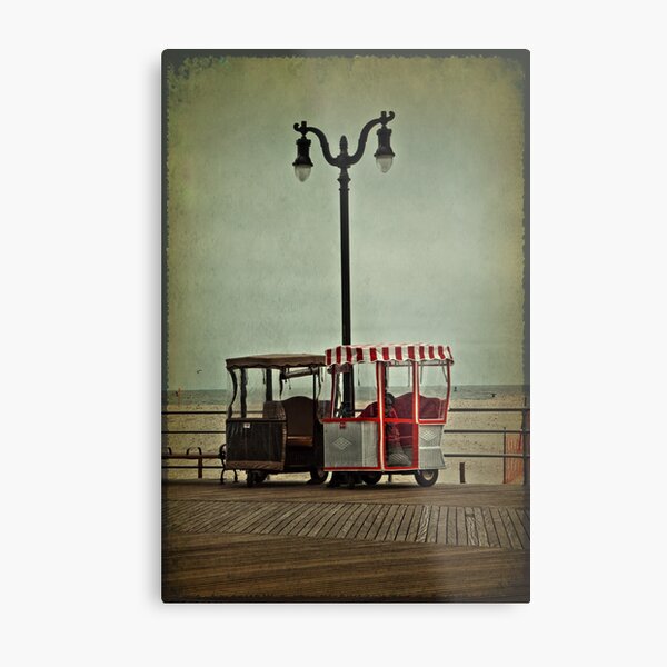 Wanna Ride? Metal Print