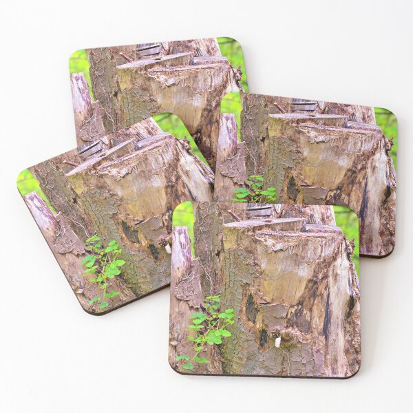 Item preview, Feeling a Little Stumped designed and sold by dbrDurham.