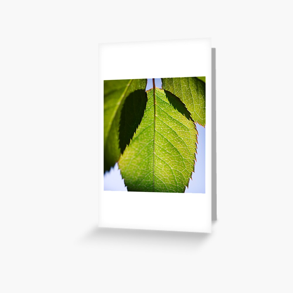 Item preview, Greeting Card designed and sold by petegrev.