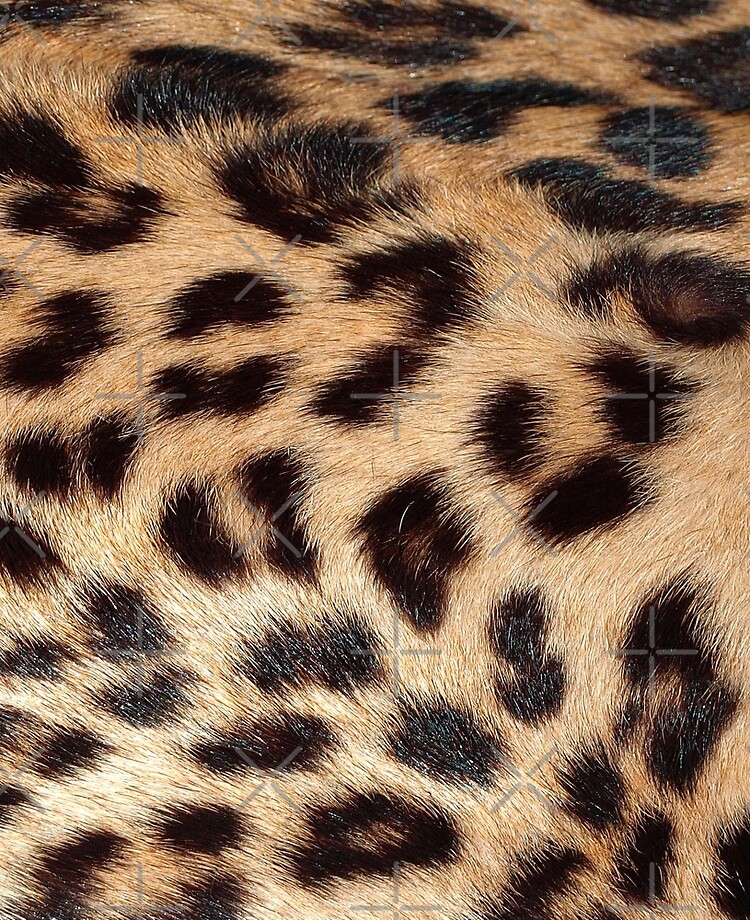 Leopard Print Fur Look Texture Trendy | iPad Case & Skin