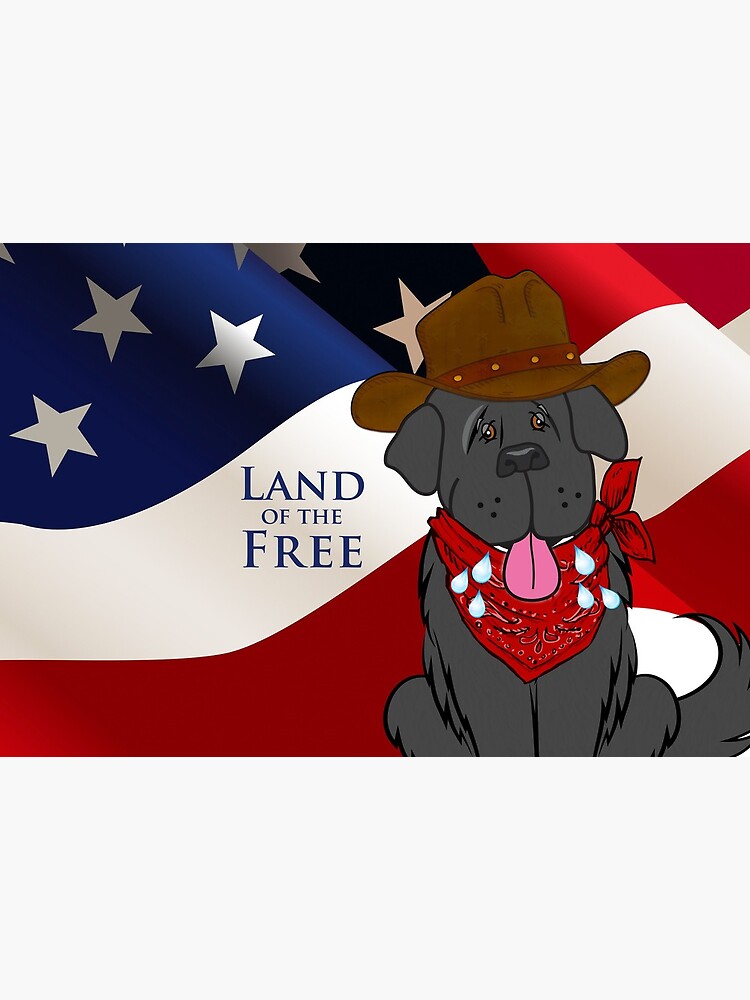 USA Face Mask by itsmechris