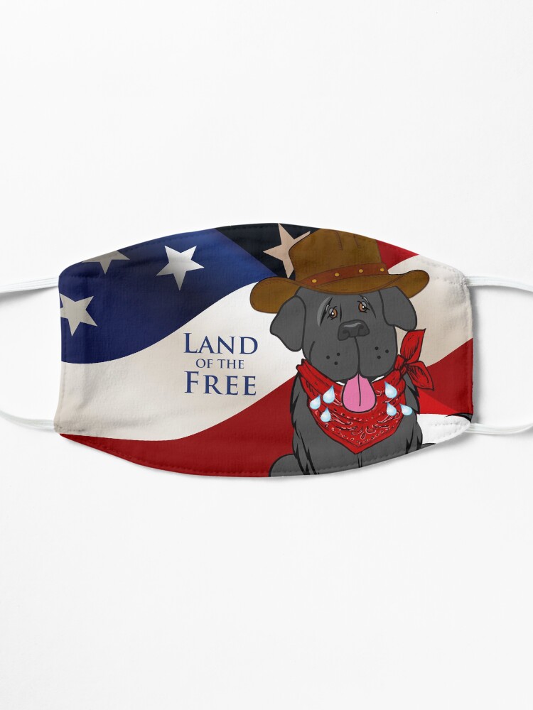 Alternate view of USA Face Mask Mask