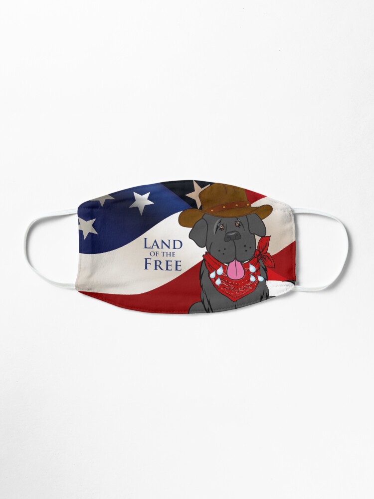 Alternate view of USA Face Mask Mask