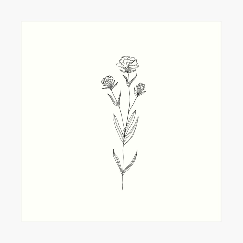 Carnation flower - sketch of tattoo Stock Vector by ©Littlemagic 157598366