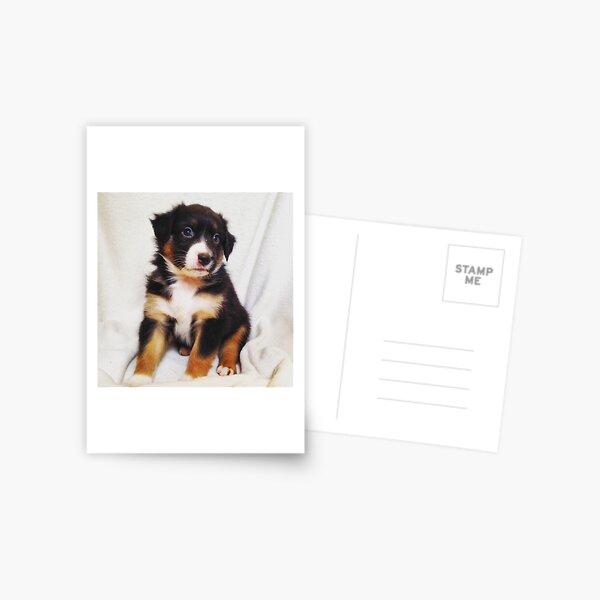 Australian Shepherd Puppy Fire Postcard