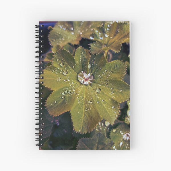 Mesmerise Spiral Notebook