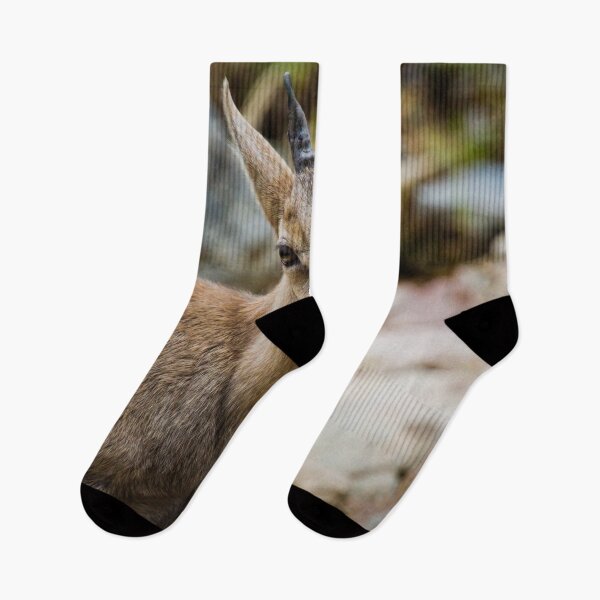 Item preview, Baby Big Horn (Ibex) designed and sold by Yannik Hay.
