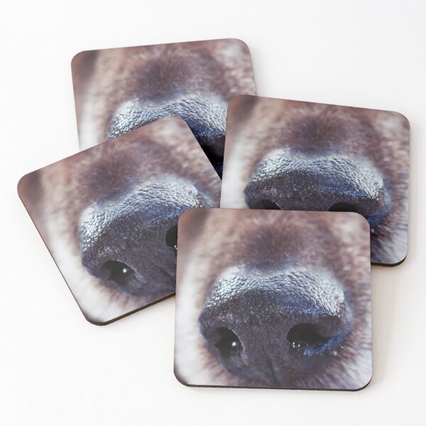Item preview, Close-up of a dogs nose designed and sold by ElvaE.