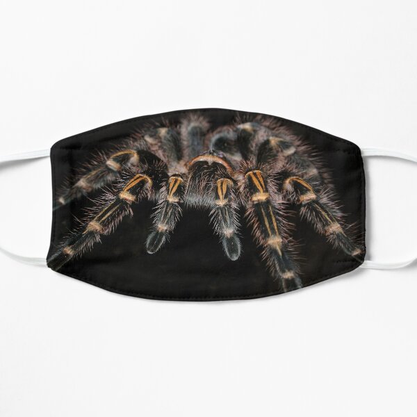 AWESOME TARANTULA MERCH WITH BLACK BACKGROUND Mask