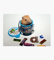 Orange Pudding Hamster Photographic Print