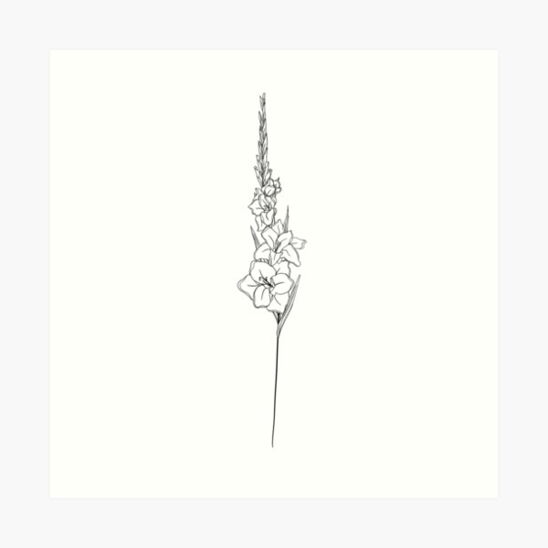 Gladiolus August Birth Month Flower, Gladiolus August Birth Flower Drawing,  Outline Gladiolus Drawing, Tattoo Gladiolus Flower Drawing, Black Gladiolus  Tattoo, Black Small Gladiolu Royalty Free SVG, Cliparts, Vectors, and Stock  Illustration. Image