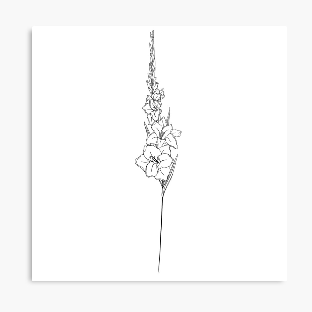 Minimalist Gladiolus Flower Tattoo, Wrist Gladiolus Tattoo Simple, Women S Gladiolus  Tattoo Stock Vector - Illustration of font, wing: 285368730