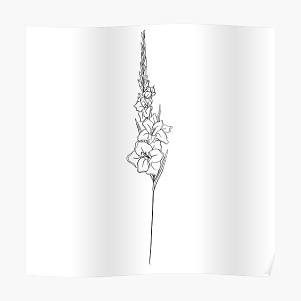 Free gladiolus Clipart  FreeImages