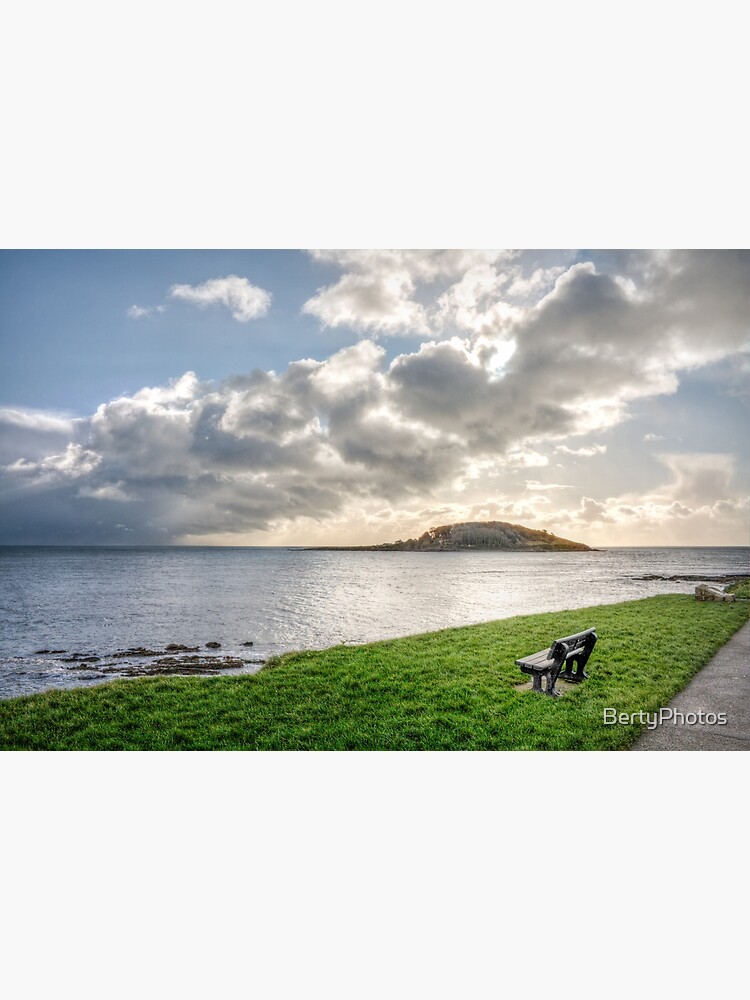 St George's Island, Looe - Winter by BertyPhotos