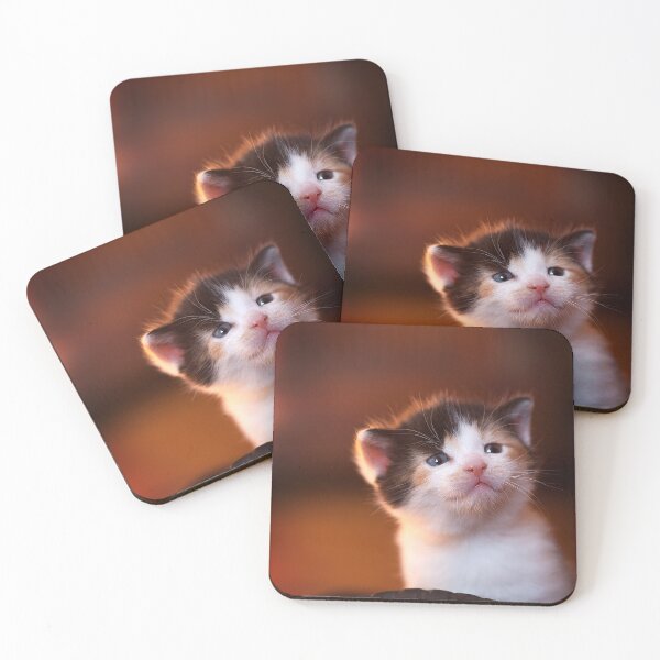 Item preview, Young playful kitten designed and sold by ElvaE.