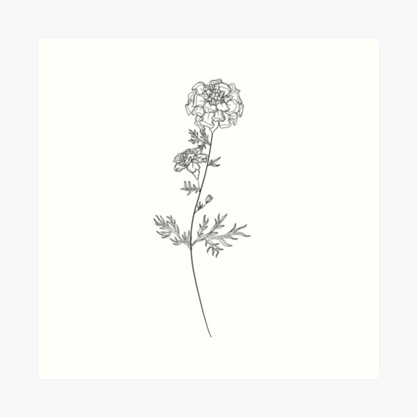 October Marigold Birth Flower — Alicia Frank Artistry