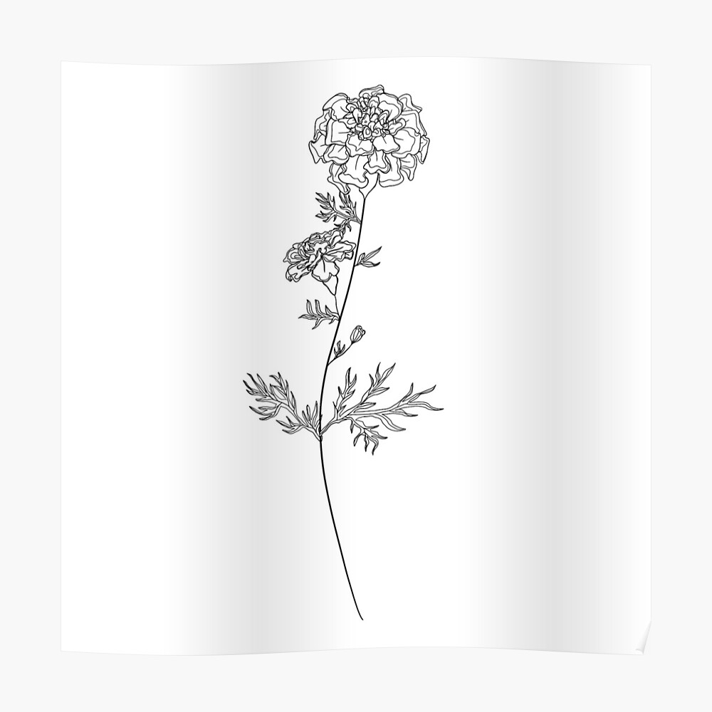 Detailed Birth Flowers Set 2 by Rebecca Wasserberg on Dribbble