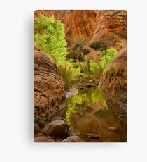 Willow Gulch Canvas Print