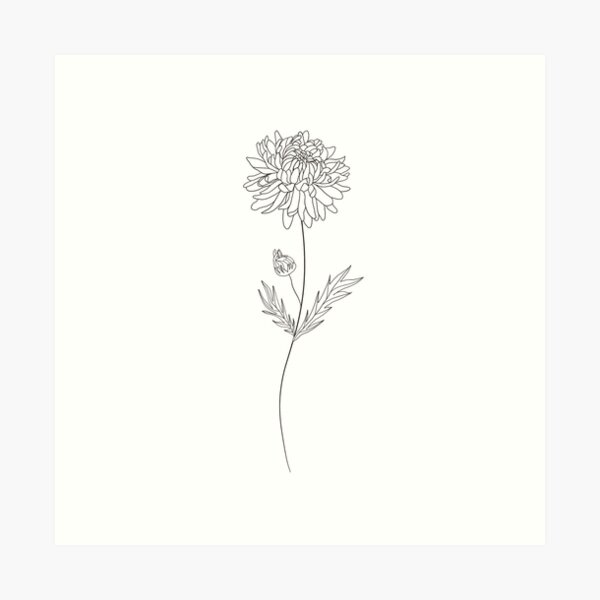 November Birth Month Flower | Chrysanthemum Art Print