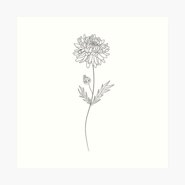 November Birth Month Flower | Chrysanthemum Art Print