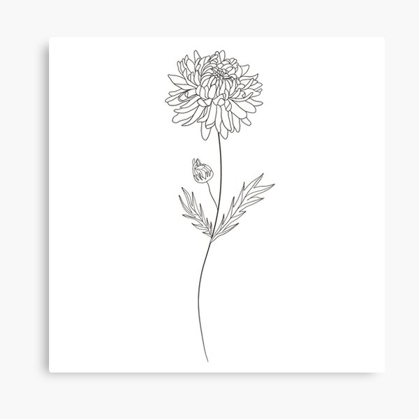 "November Birth Month Flower Chrysanthemum" Canvas Print for Sale by