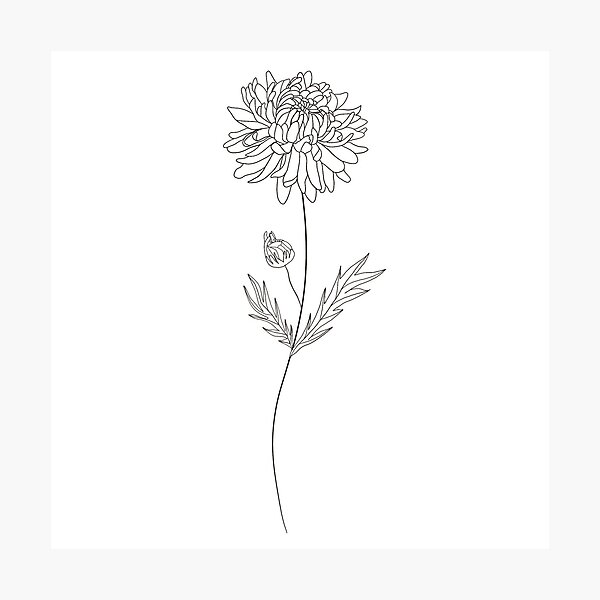 Item preview, November Birth Month Flower | Chrysanthemum designed and sold by ekwdesigns.