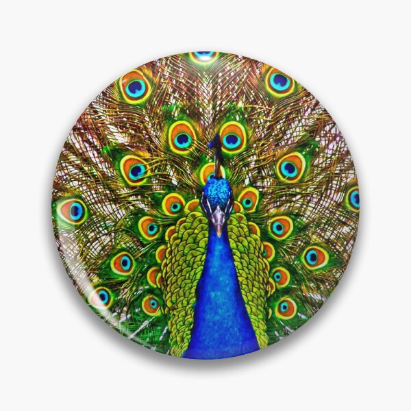 Artikelvorschau, Pfau entworfen und verkauft von Tr0y.