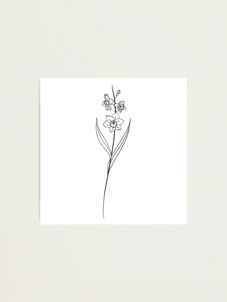 Impression photo « Fleur de mois de naissance de décembre | Narcisse », par  ekwdesigns | Redbubble